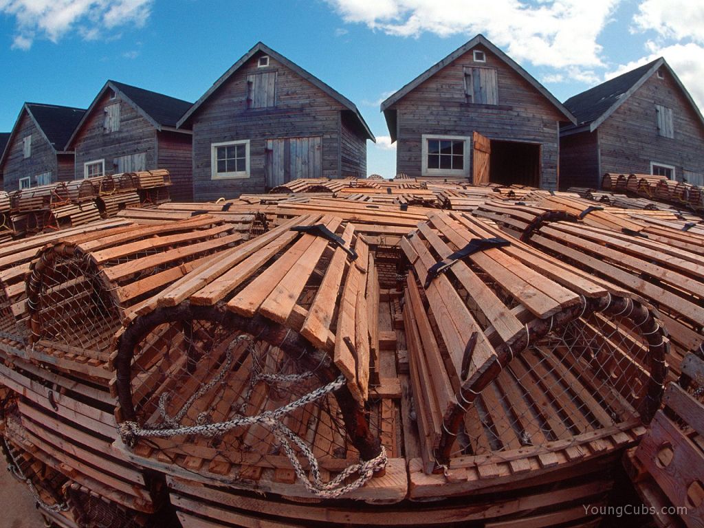 Fishing Huts and Lobster Traps, Prince Edward Island, Canada